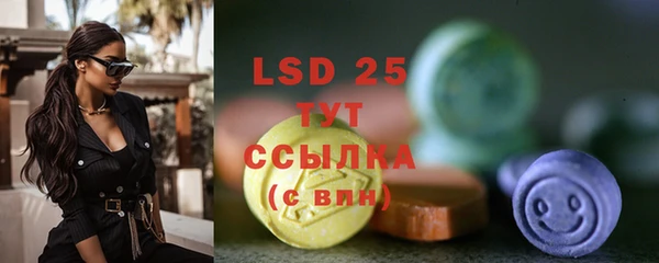 ECSTASY Богданович