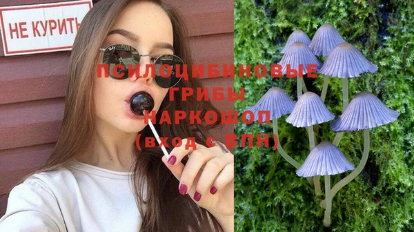 Альфа ПВП Белокуриха